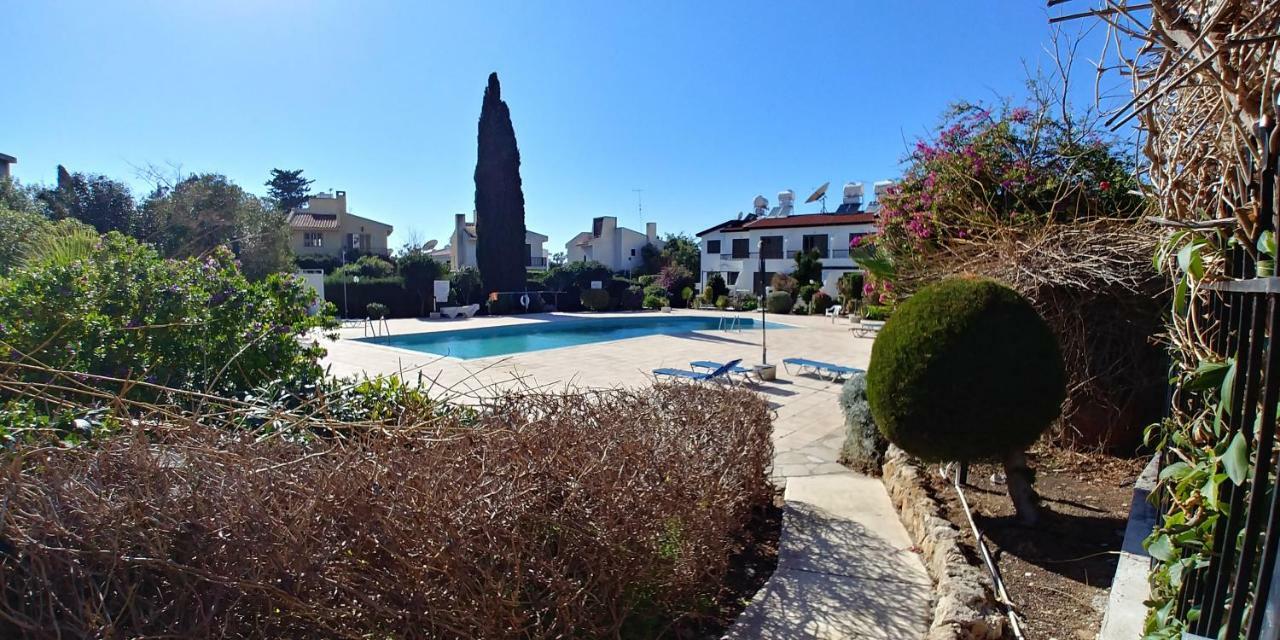Апартаменти 'Chez Antoine' Pool-View 5Min From Sea Пафос Екстер'єр фото